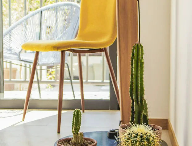 Blue Pepper Premium Rooms hotel detail image 2