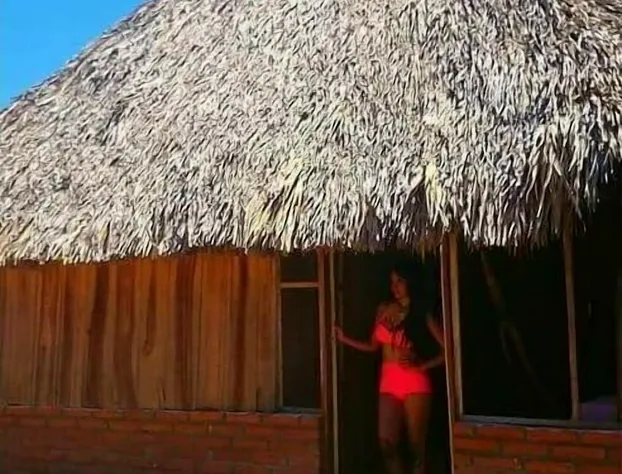 Hotel El Canal Chocohuital hotel detail image 3