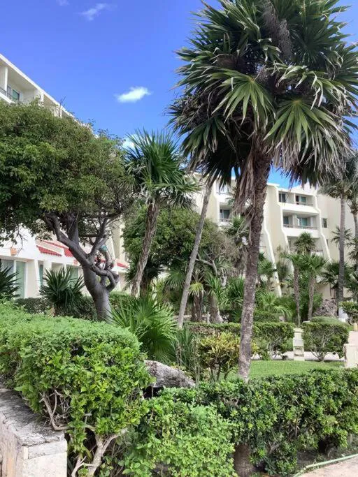 Ocean View Apartments hotel hero