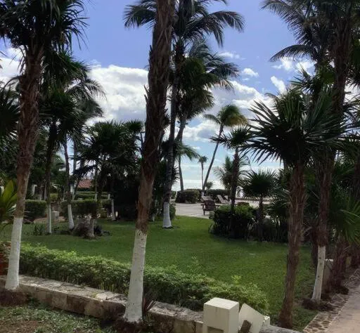 Ocean View Apartments hotel detail image 1