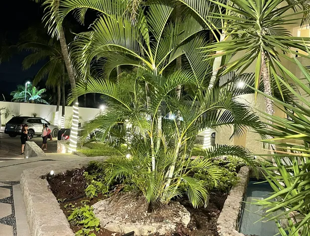 Ocean View Apartments hotel detail image 4