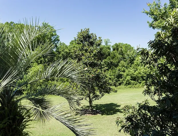 Je61750 - Reunion Resort - 3 Bed 3 Baths Condo hotel detail image 1