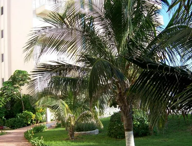 Salvia Cancun Aparts hotel detail image 2