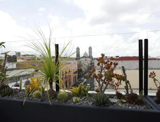 Hotel Diana hotel detail image 1