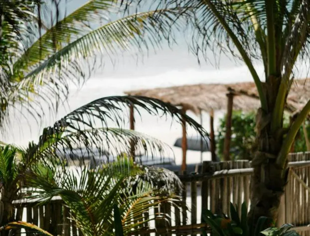 Nest Tulum hotel detail image 4