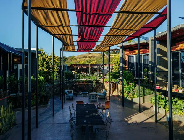 Entre Vides Valle de Guadalupe hotel detail image 3