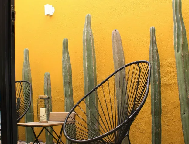 Stay Frida hotel detail image 1