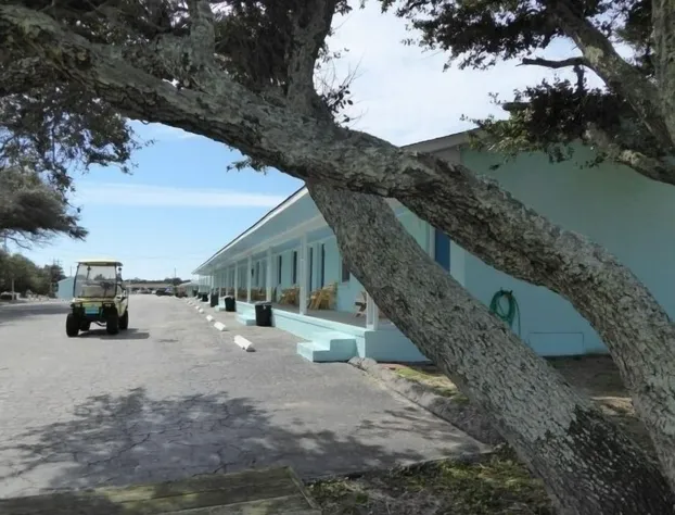 Swell Motel hotel detail image 3