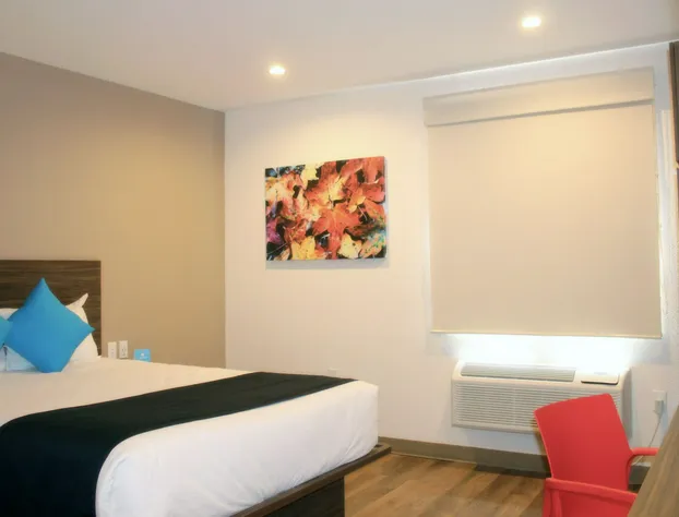 NOKTOS Extended Celaya hotel detail image 4