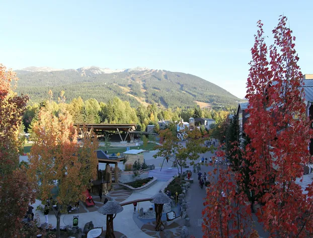 Marketplace Lodge hotel detail image 4