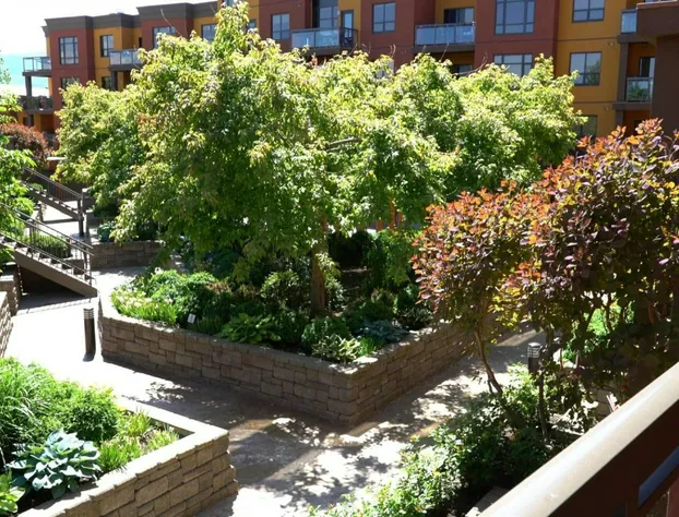 Courtyard View at Playa #436 hotel detail image 3