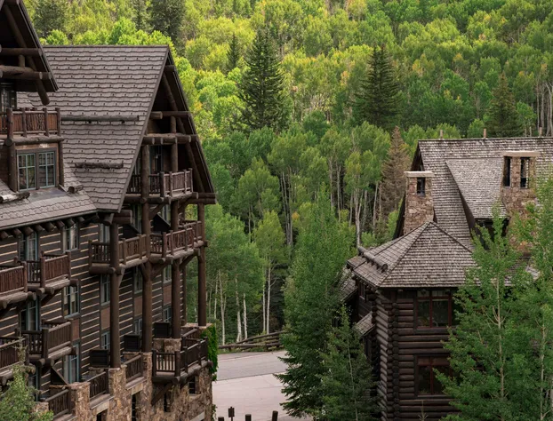 Colorado Lodge at the Ritz Carlton hotel detail image 2