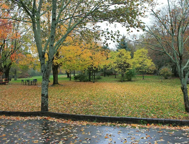 Antigonish Victorian Inn hotel detail image 2