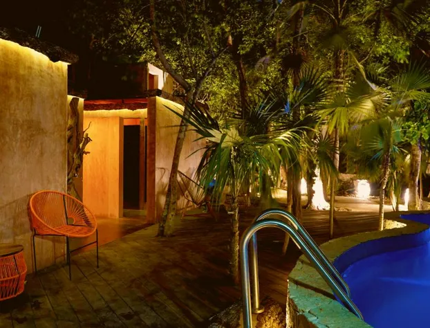 Bufo Alvarius hotel detail image 1