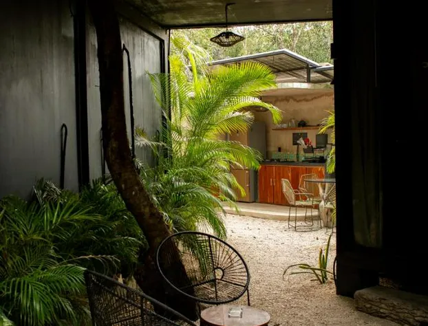 Bufo Alvarius hotel detail image 3