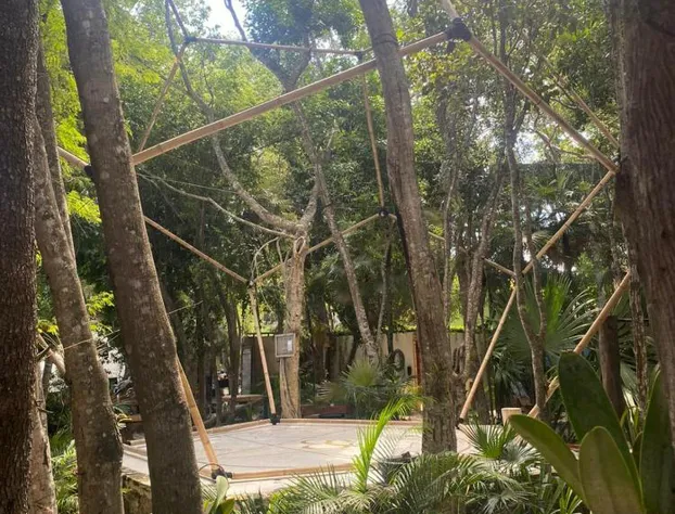 Bufo Alvarius hotel detail image 4