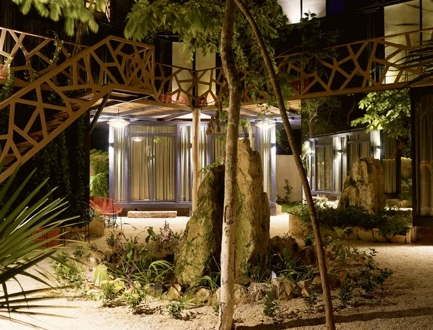 Bufo Alvarius hotel detail image 2