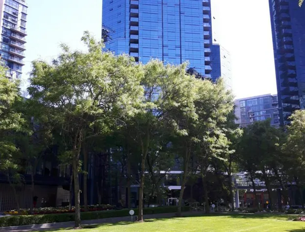 Your Alternative to a Five Star Hotel - Premium Location hotel detail image 2