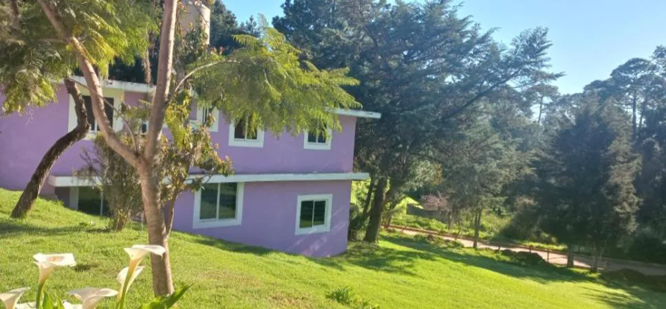 Hotel Bosques hotel hero