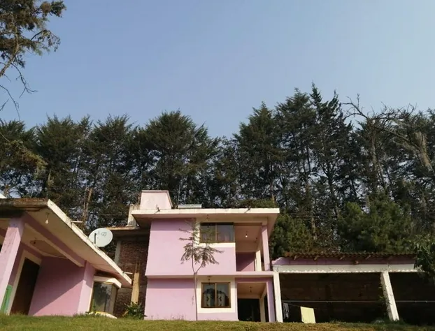 Hotel Bosques hotel detail image 1