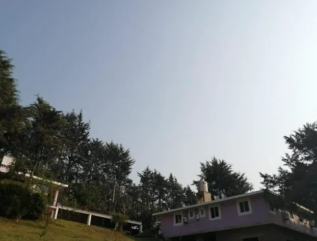 Hotel Bosques hotel detail image 2