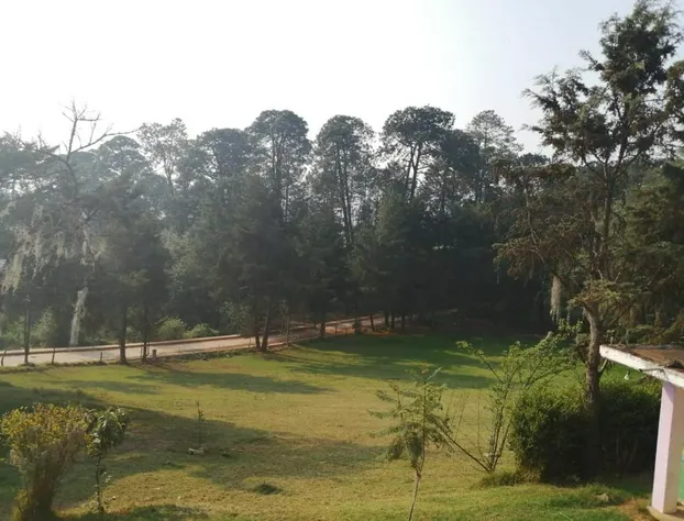 Hotel Bosques hotel detail image 4