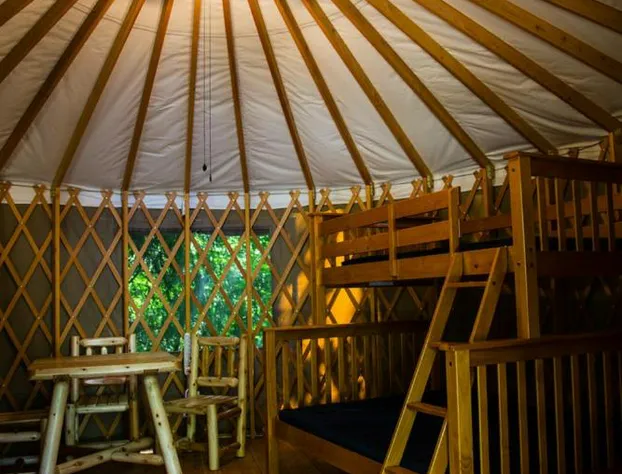 Mount Vernon Camping Resort 16 ft. Yurt 6 hotel detail image 2