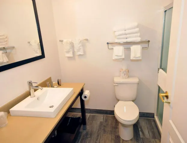 Riverview Inn & Suites, an Ascend Collection Hotel hotel detail image 4