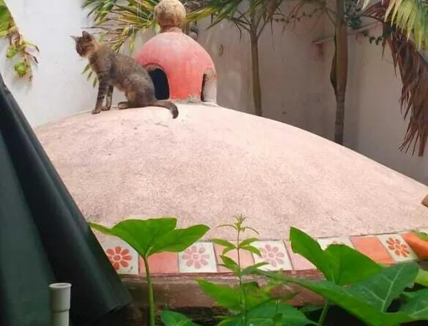 Posada de San Miguel hotel detail image 2