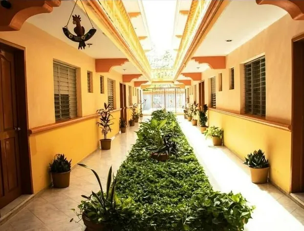 Hotel Isla Esmeralda hotel detail image 1