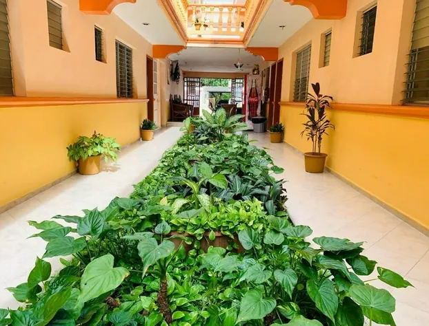 Hotel Isla Esmeralda hotel detail image 2