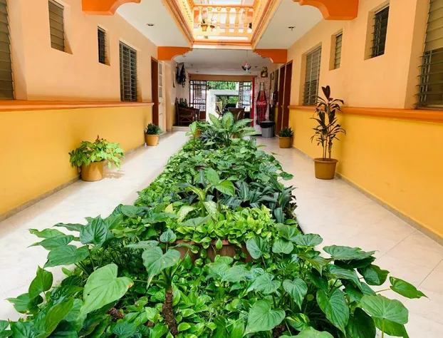 Hotel Isla Esmeralda hotel detail image 1