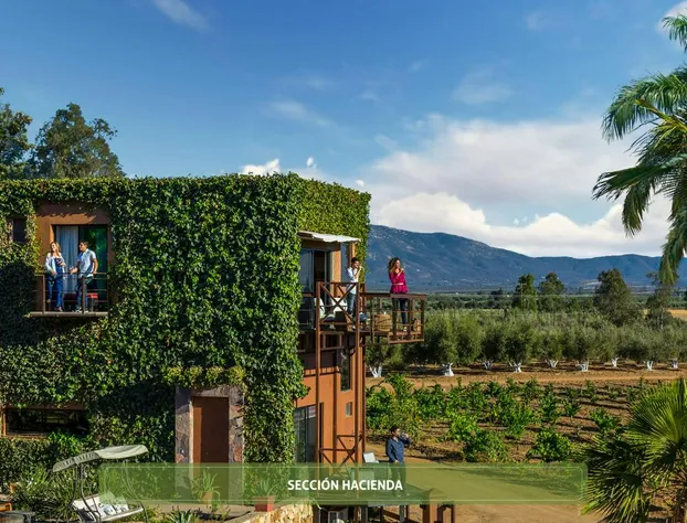 Hotel Boutique Valle de Guadalupe & Spa hotel detail image 3