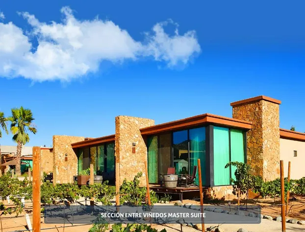 Hotel Boutique Valle de Guadalupe & Spa hotel detail image 4