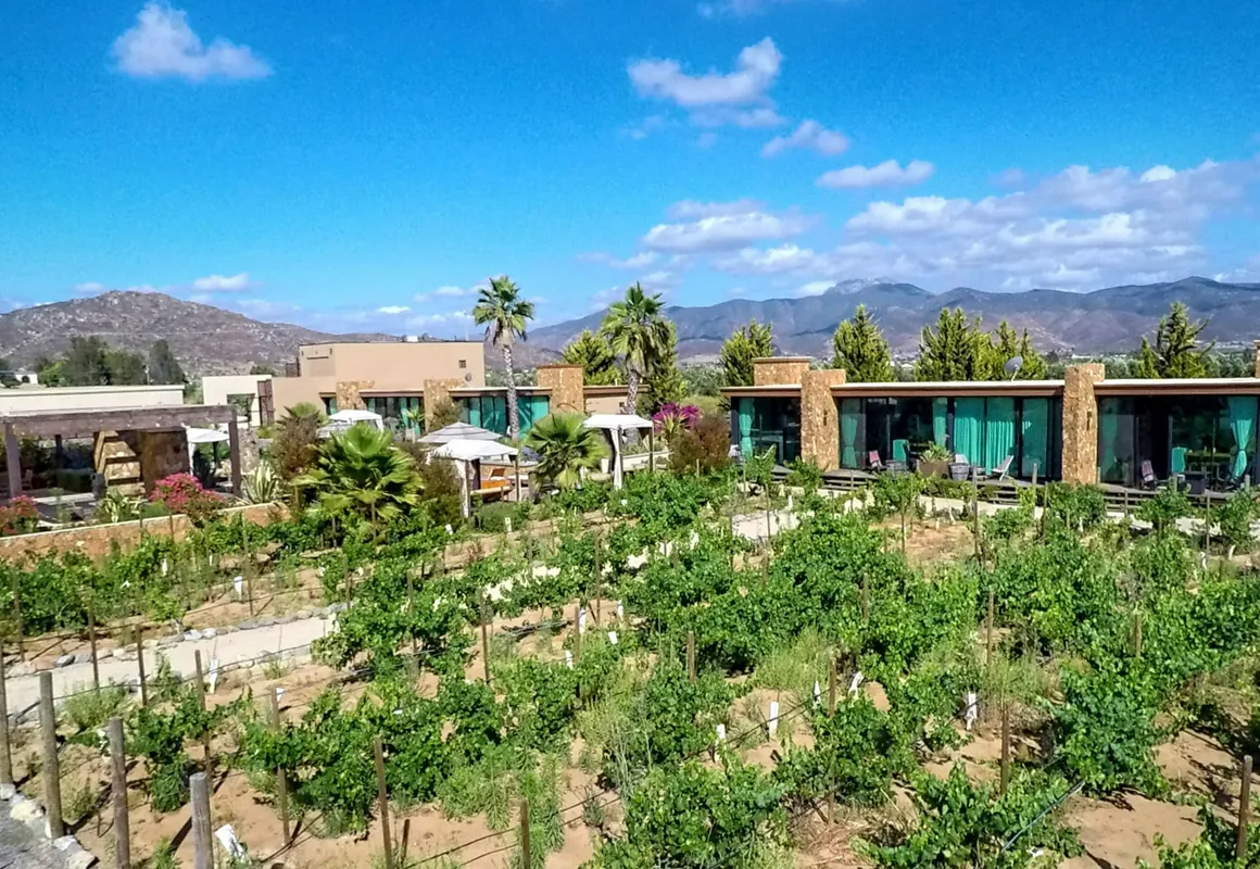 Hotel Boutique Valle de Guadalupe & Spa hotel hero