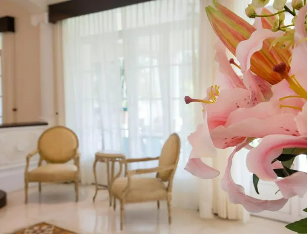 Delfina Boutique Hotel hotel detail image 3