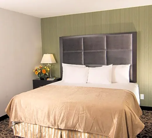 Paradise Inn and Suites Redwater hotel detail image 2