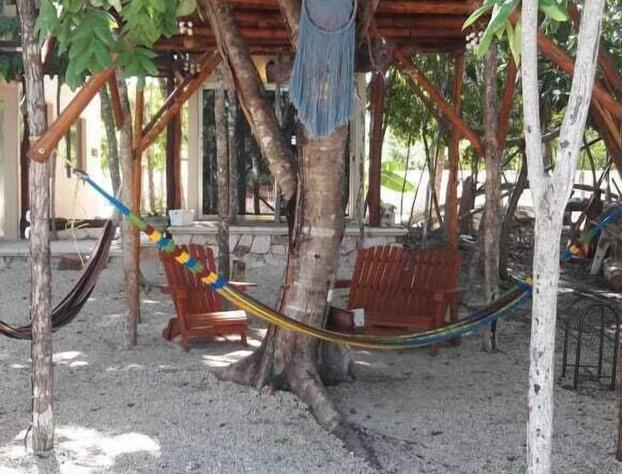 Iguana Rana Cabins Bacalar hotel detail image 3
