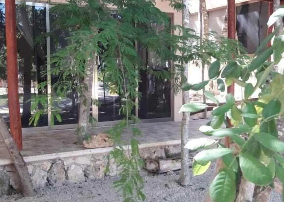 Iguana Rana Cabins Bacalar hotel hero