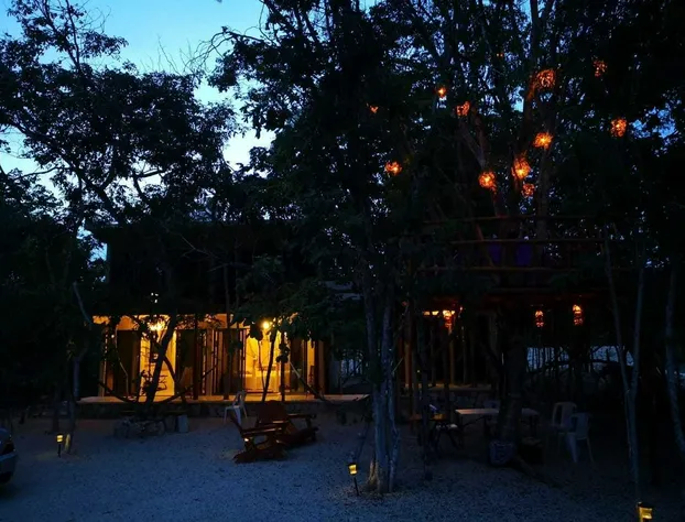 Iguana Rana Cabins Bacalar hotel detail image 1