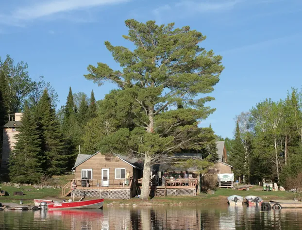 Slippery Winds Wilderness Resort hotel detail image 2