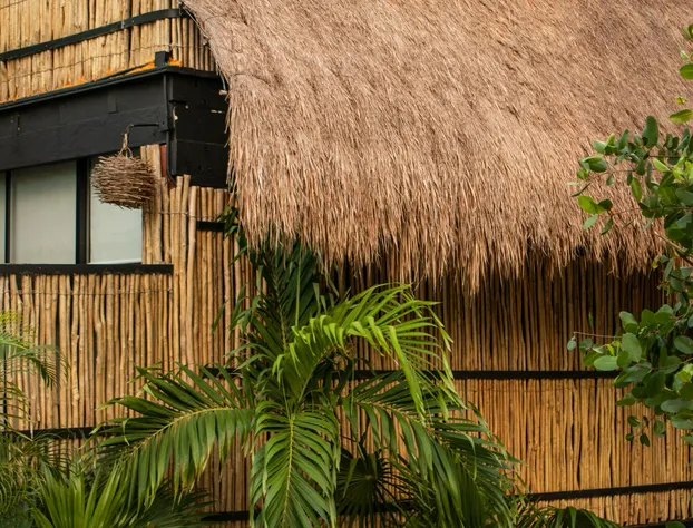 Laat Hotel Tulum hotel detail image 3