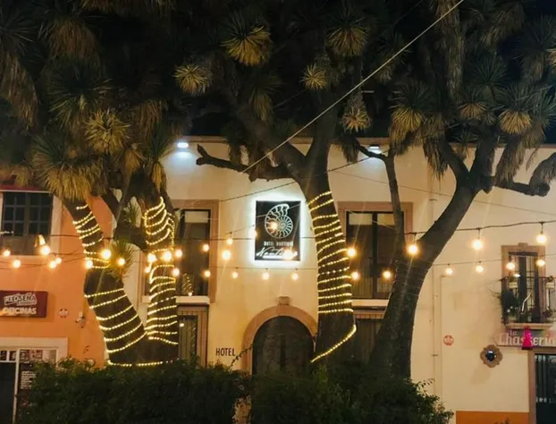 Hotel Boutique Nautilus hotel detail image 1