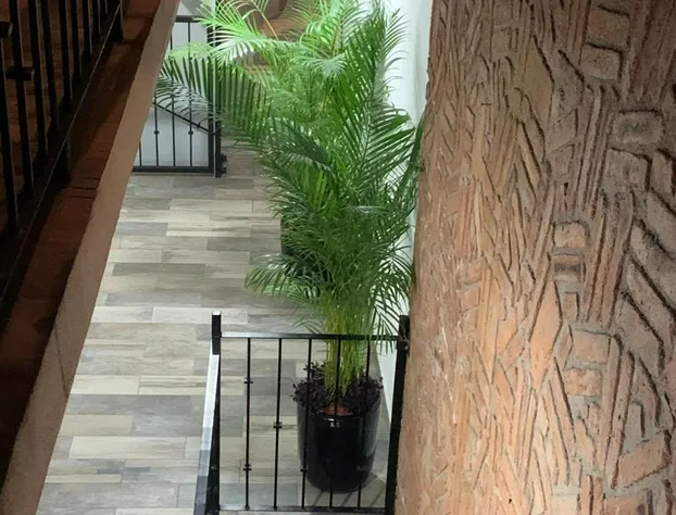 Hotel Boutique Nautilus hotel detail image 3