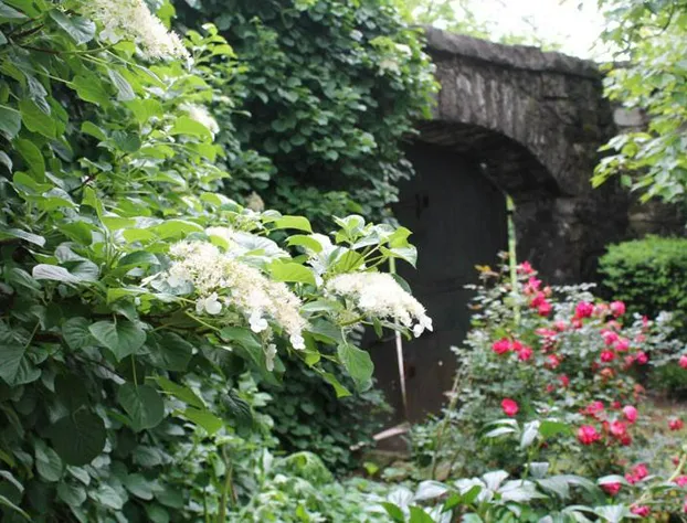 Jailer's Inn hotel detail image 3