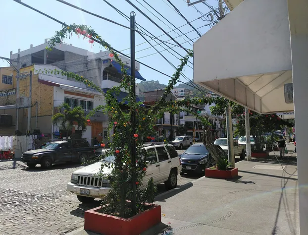 Tropicus 8 Romantic Zone Estudio Room With Terrace hotel detail image 3