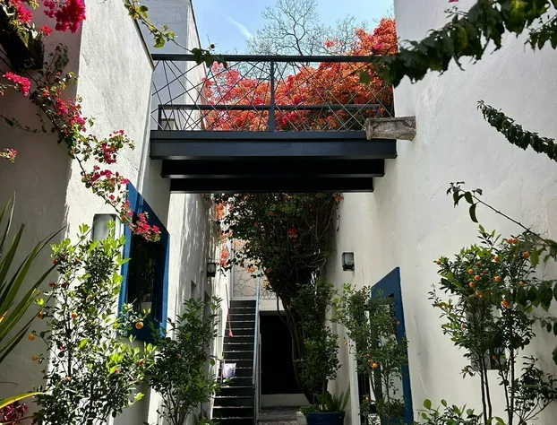 Hotel Maria Bonita hotel detail image 1