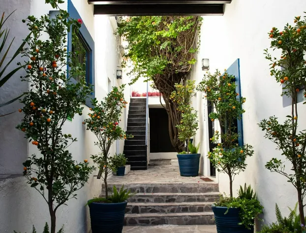 Hotel Maria Bonita hotel detail image 3