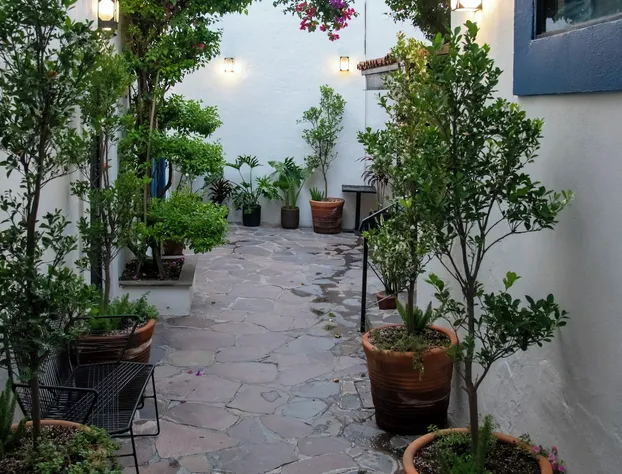 Hotel Maria Bonita hotel detail image 4