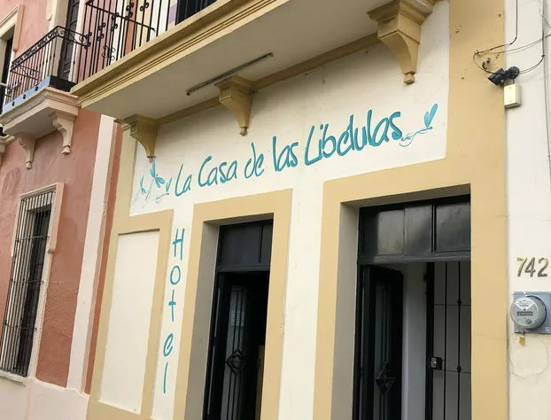 Hotel La Casa de las Libélulas hotel detail image 3